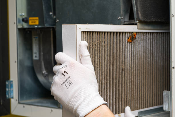 Best Air Duct Mold Removal  in Andrews, SC